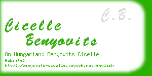 cicelle benyovits business card